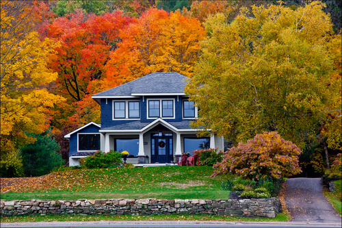 house surrounded by fall foliage